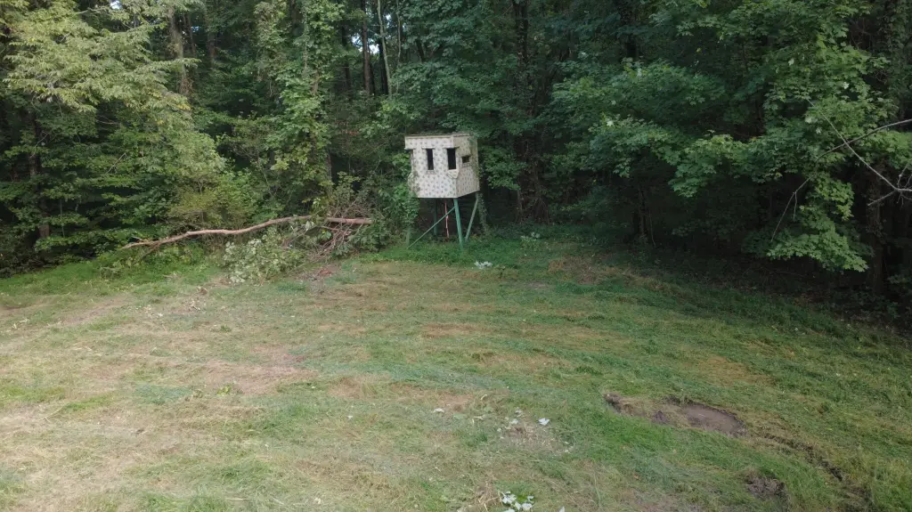 Picture 12