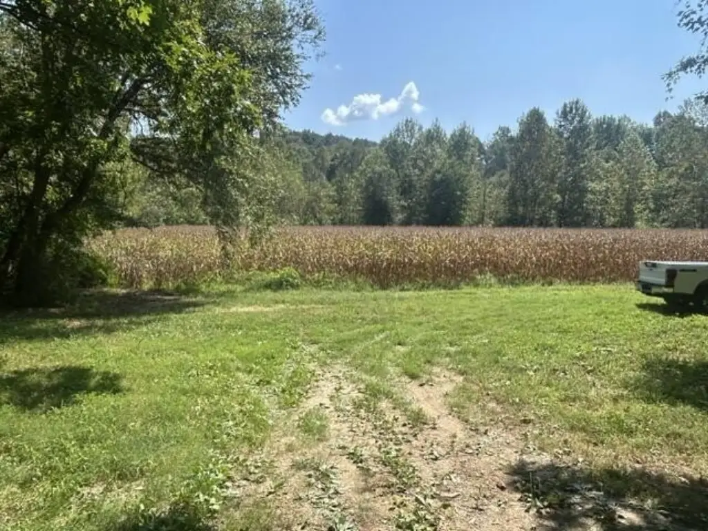 Picture 5