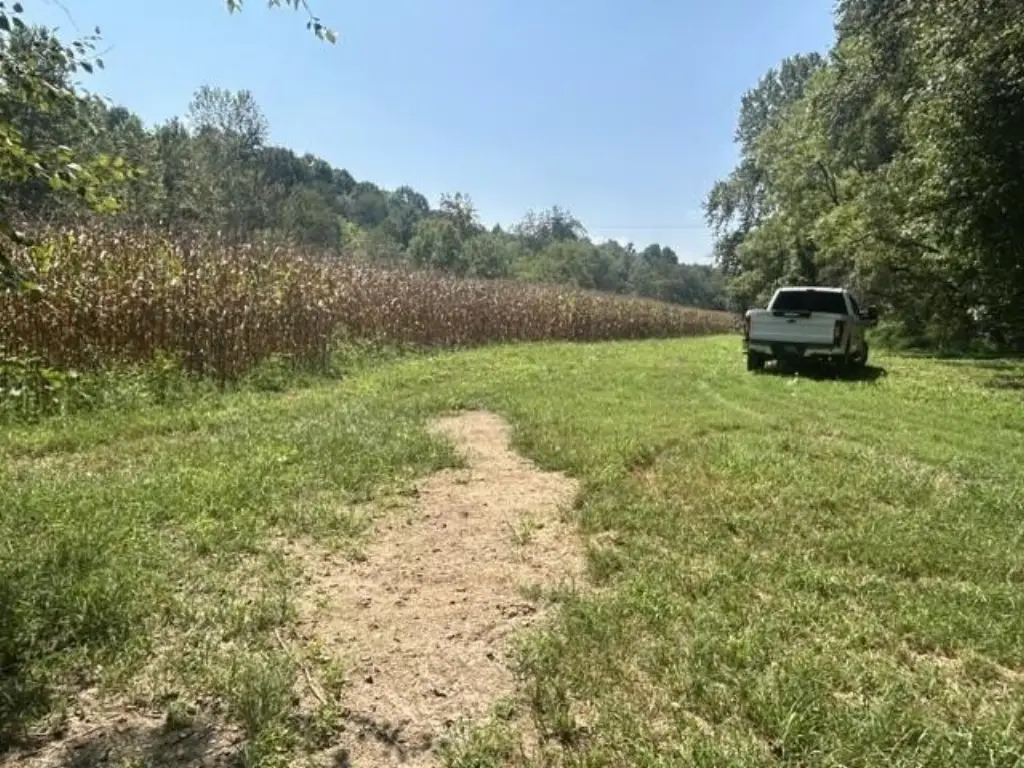 Picture 6
