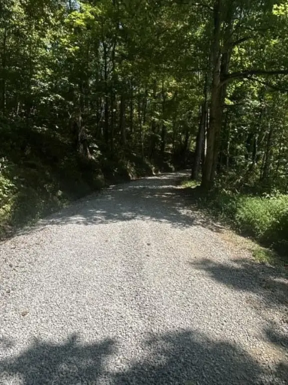 Picture 3