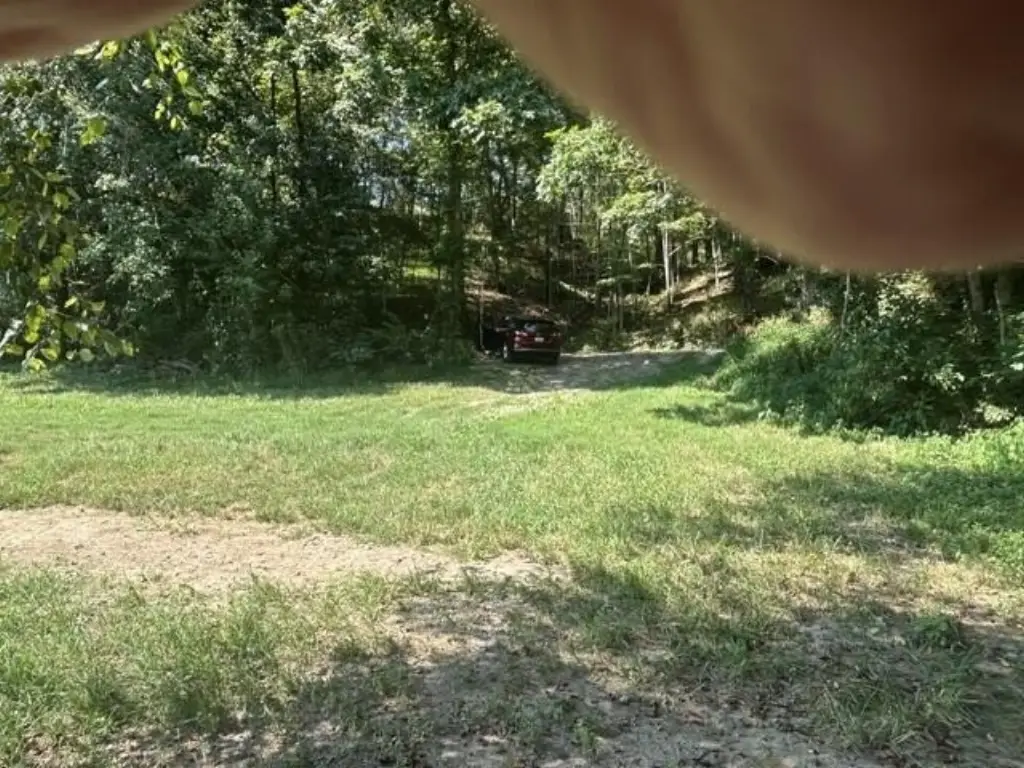 Picture 7