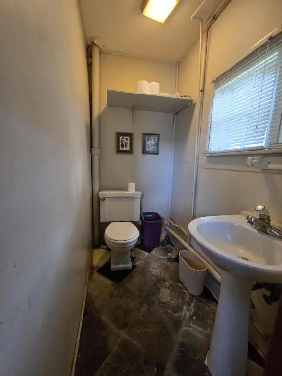 Picture 8
