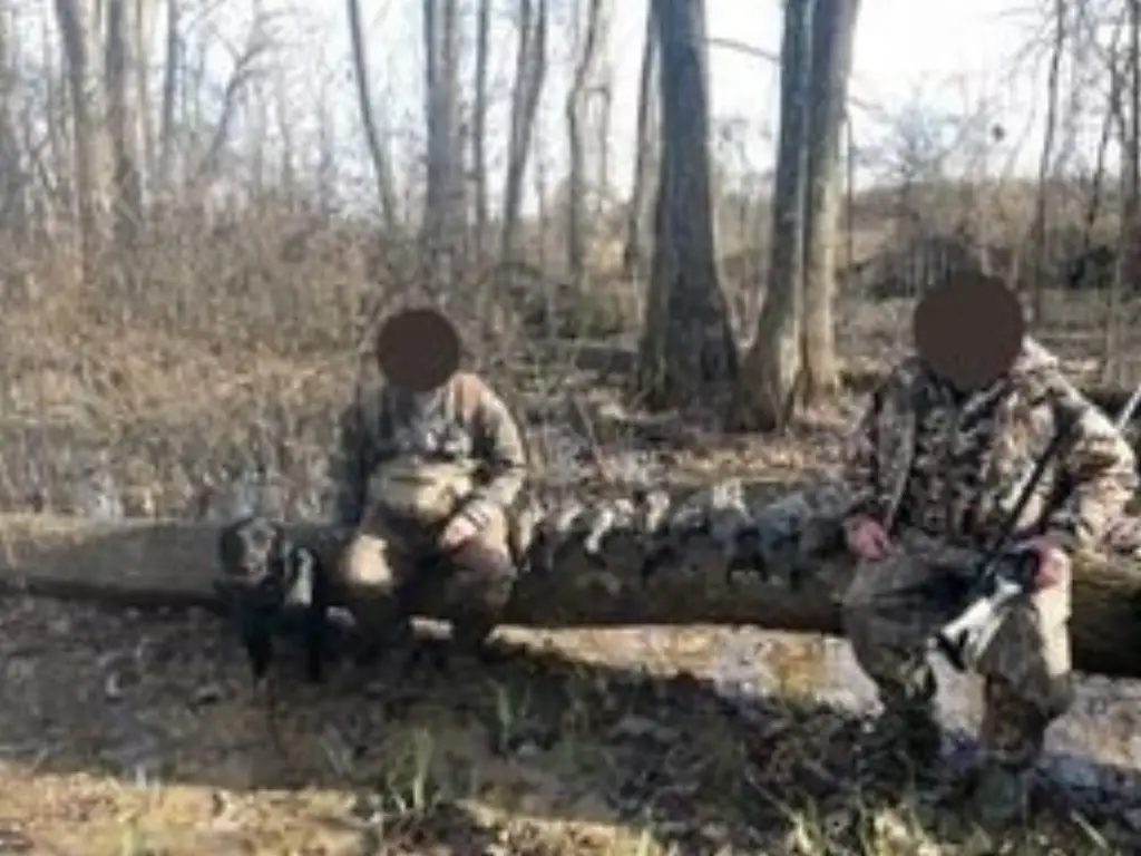 Picture 11