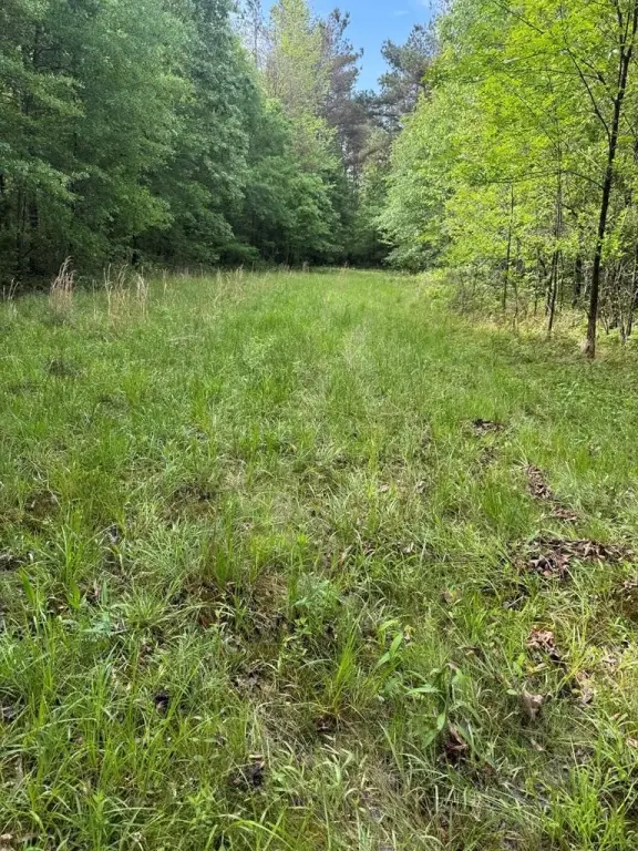 Picture 17