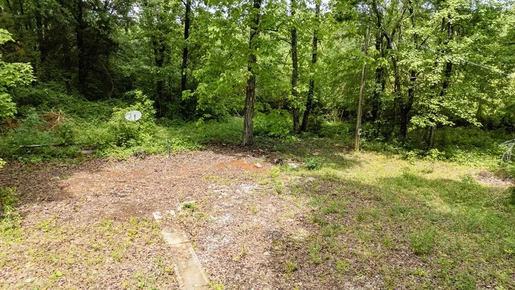 Picture 15