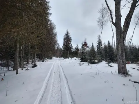 120+ Acres Hunting Land in Michigan