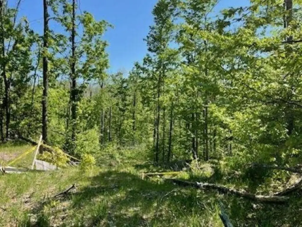 Picture 19