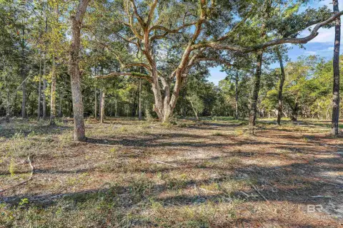 Spacious Land Parcel in Foley