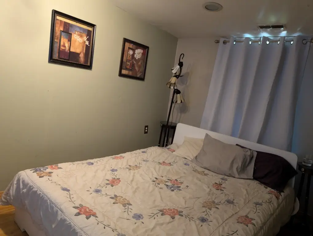 Picture 5