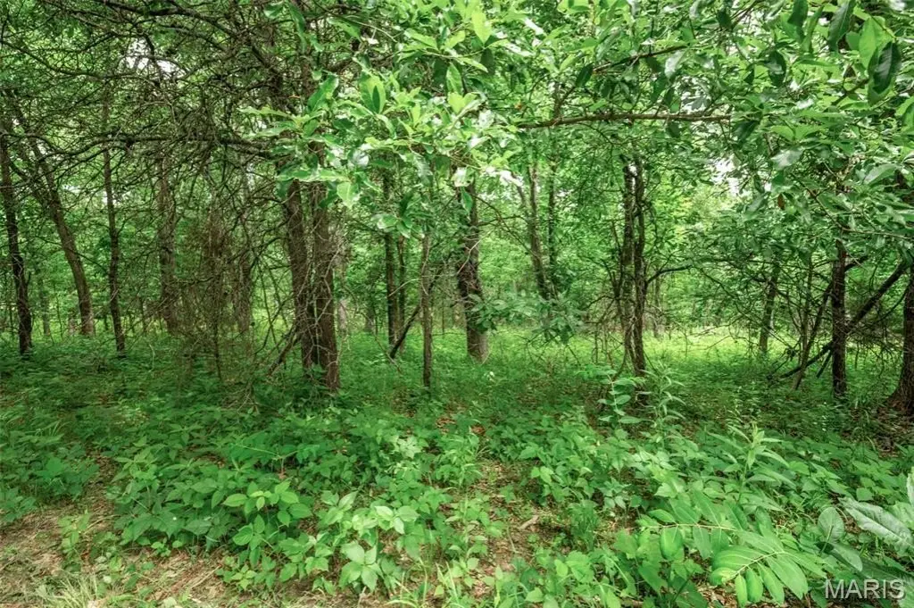 Picture 9