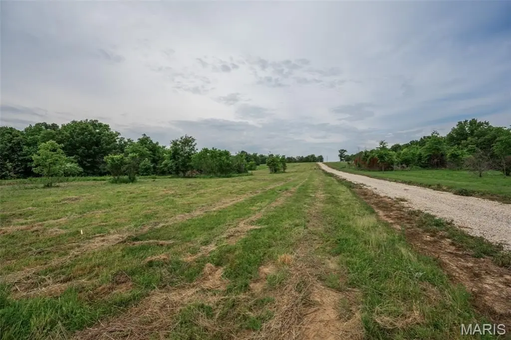 Picture 6