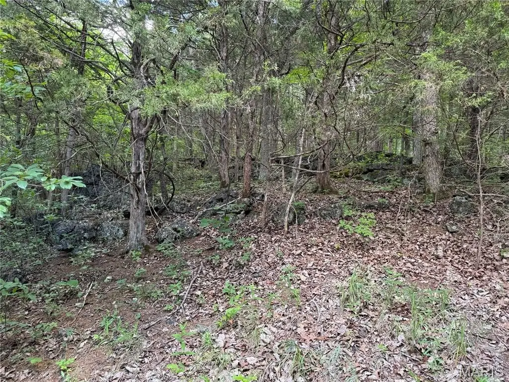 Picture 19