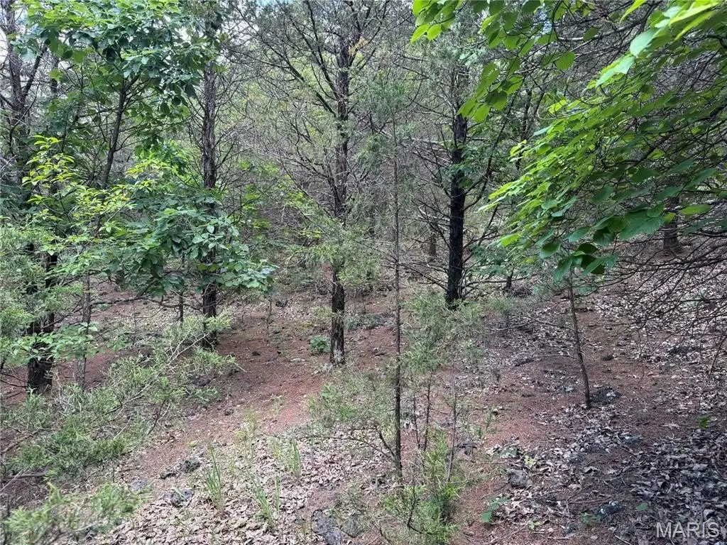 Picture 13