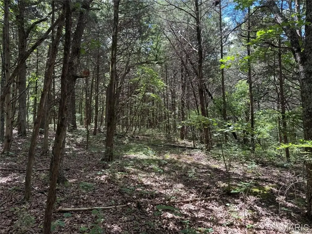 Picture 28