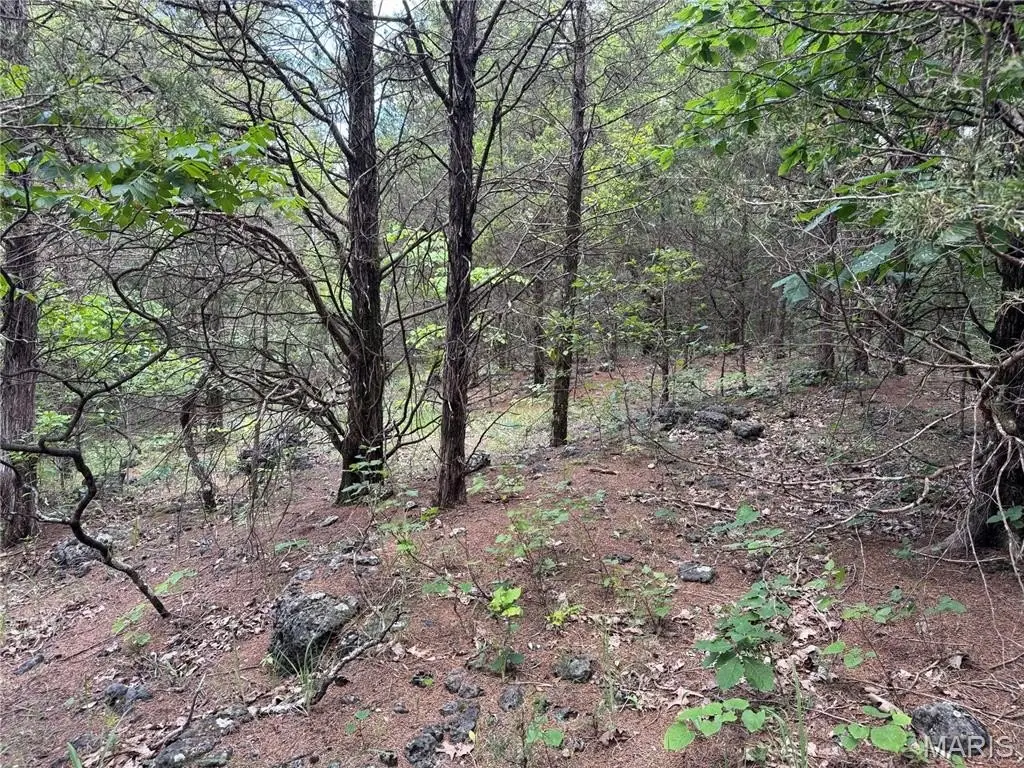 Picture 14