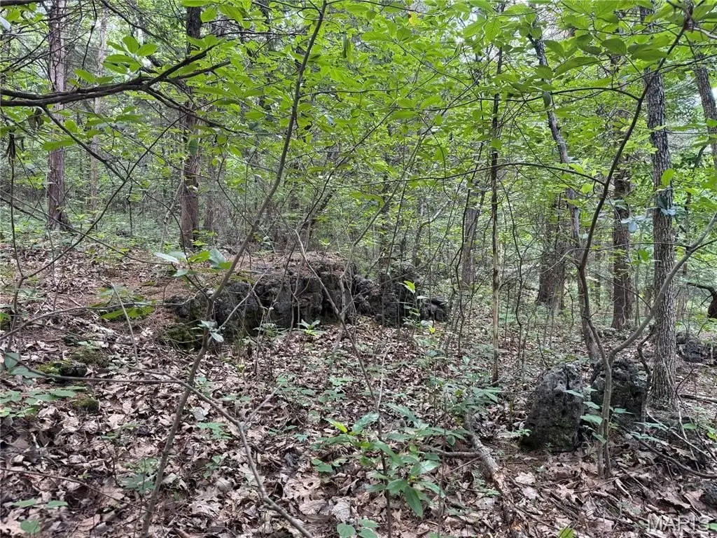 Picture 17