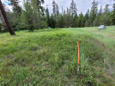Thompson Falls Homesite Ready to Build