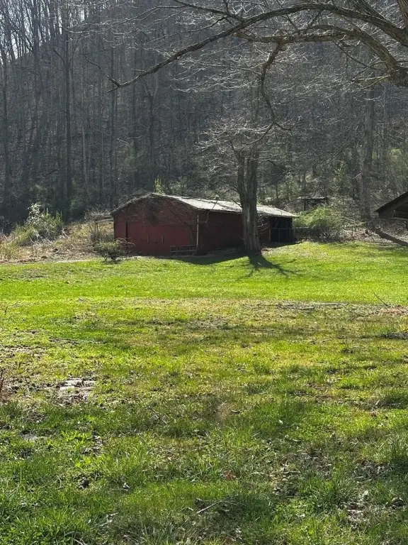 Picture 15