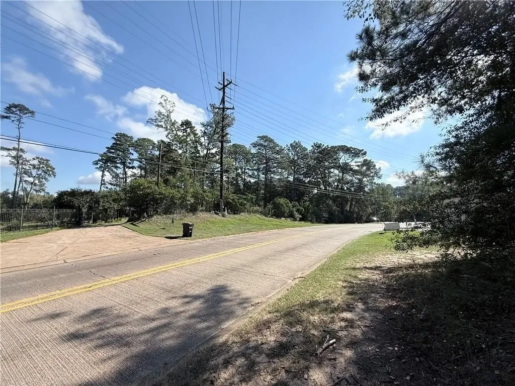 Picture 5