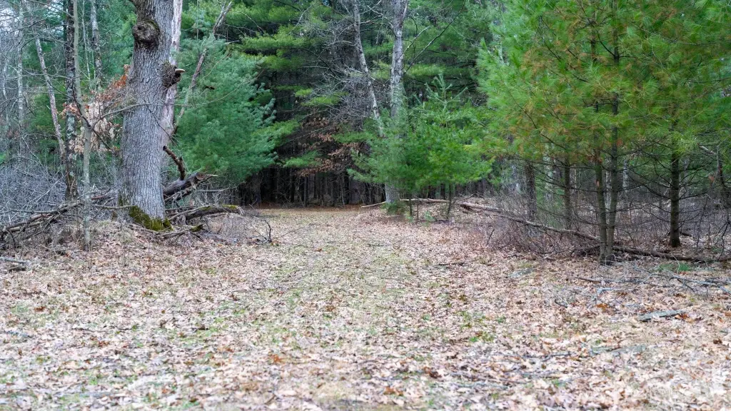 Picture 15