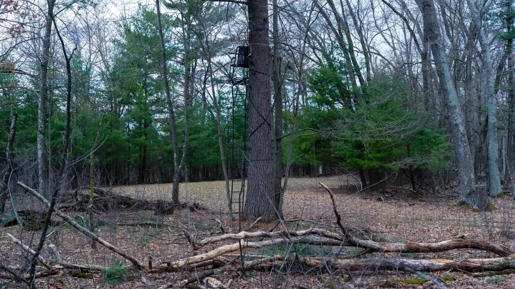 Picture 45
