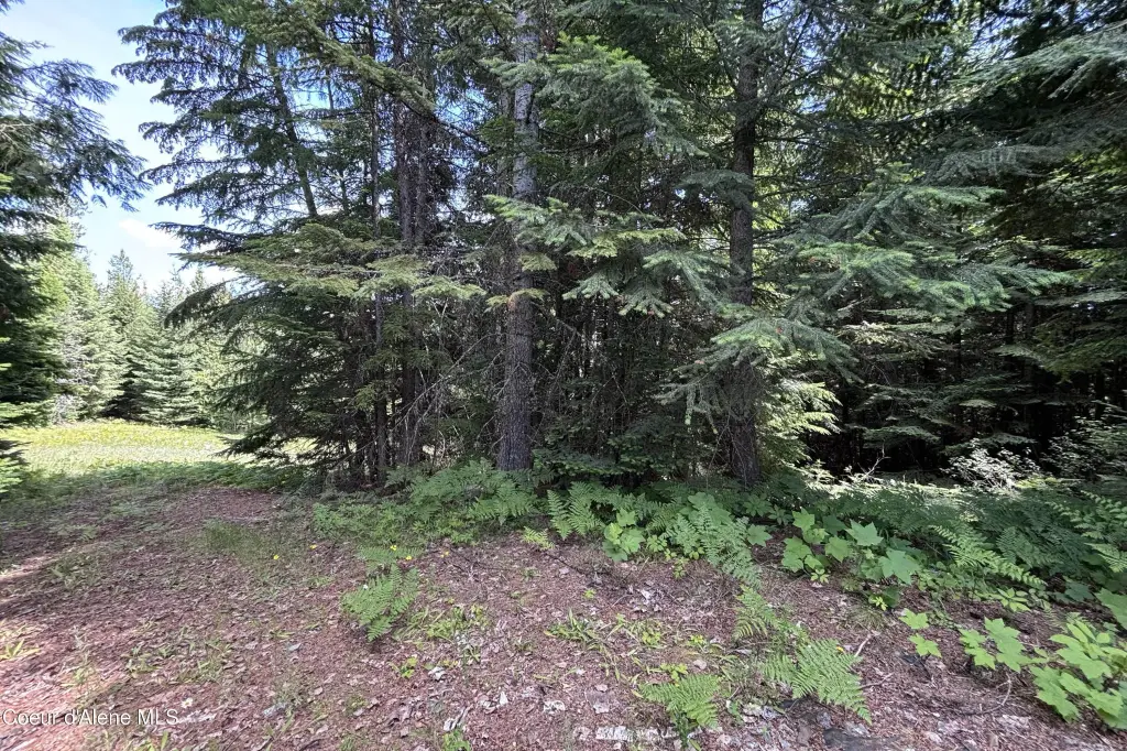 Picture 8