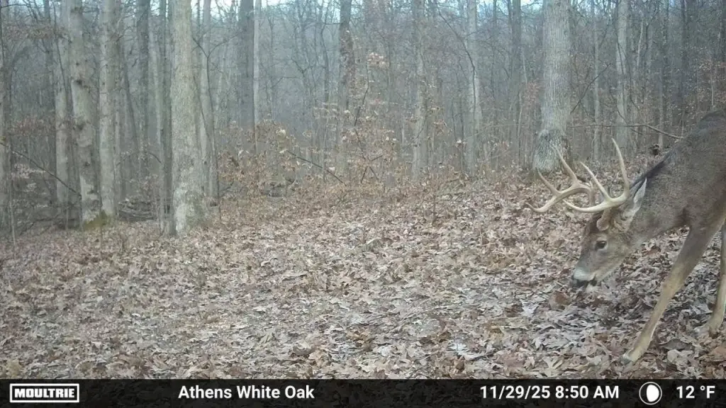 Picture 19