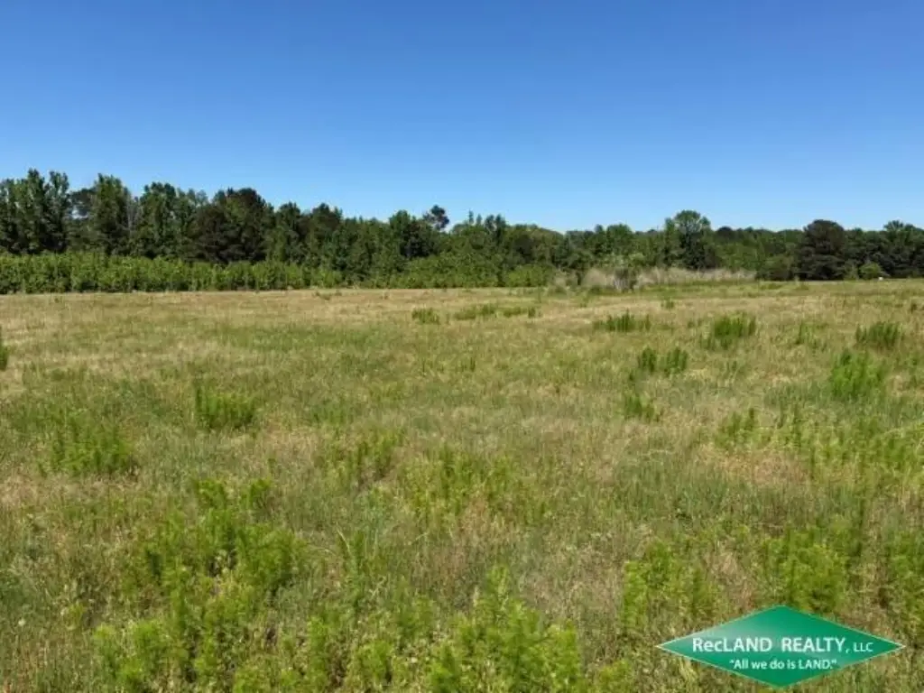 Picture 36