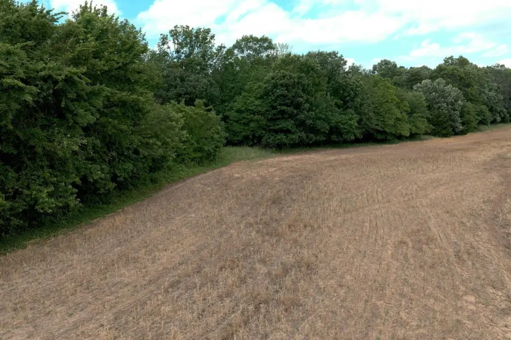 Picture 39