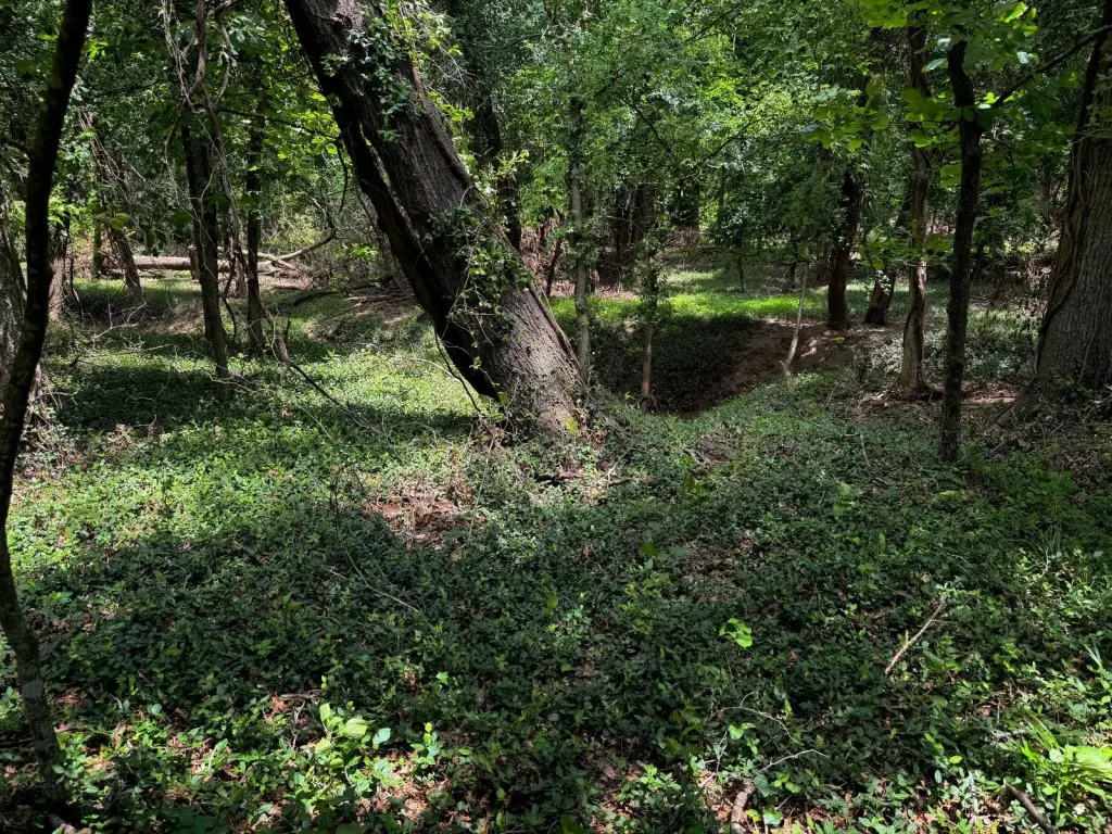 Picture 43