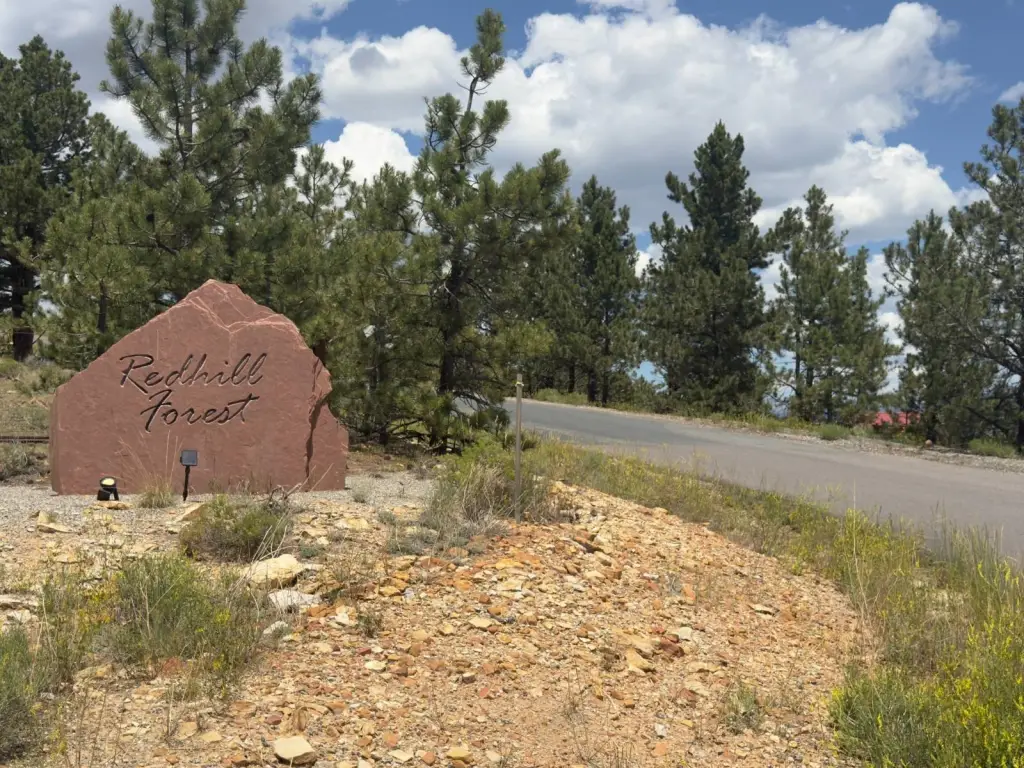 Picture 31