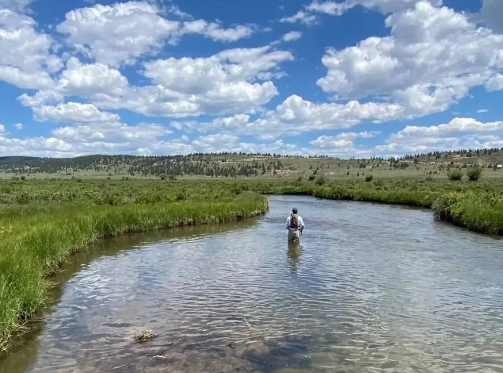 Picture 30