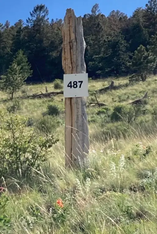 Picture 26