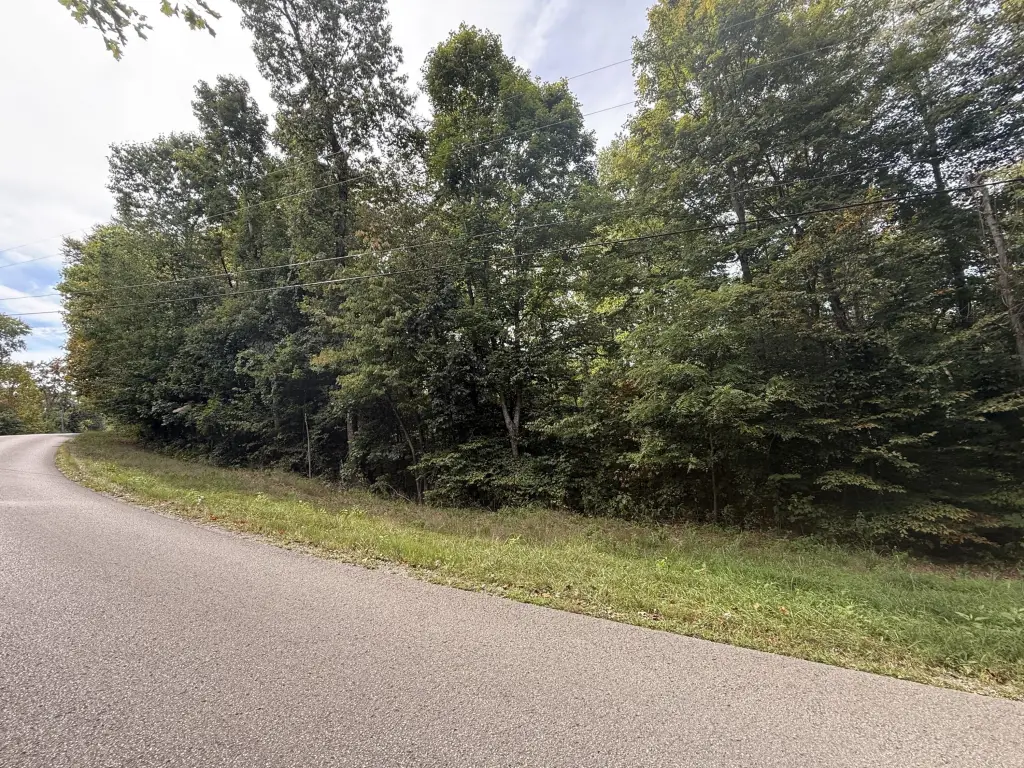 Picture 25