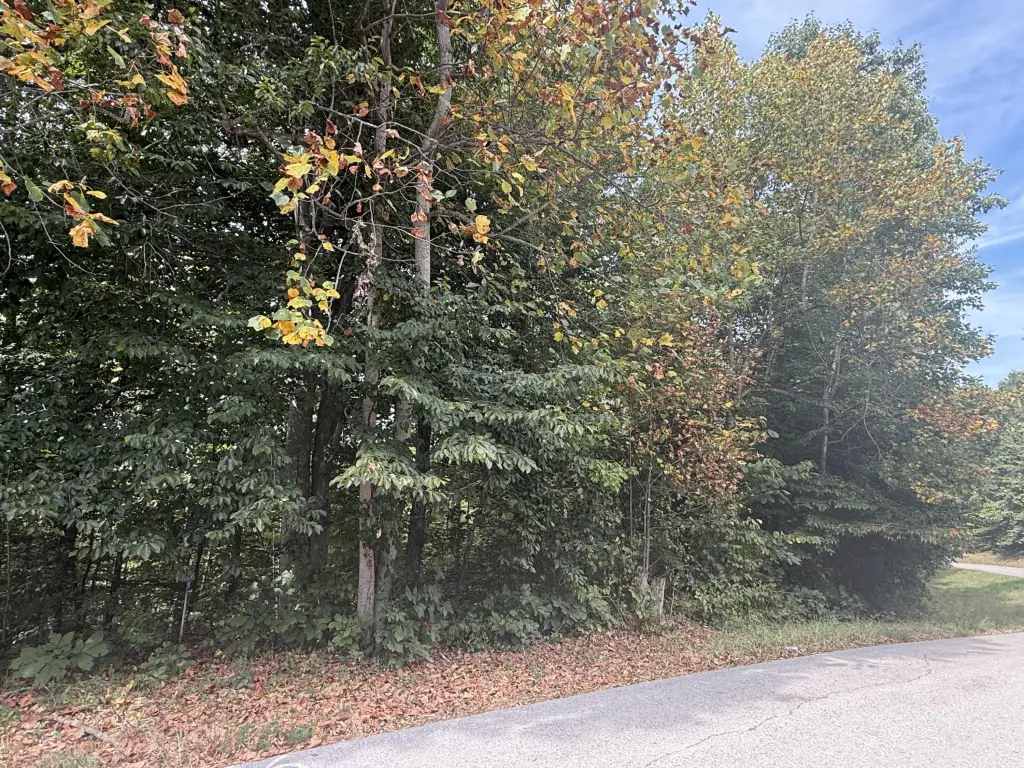 Picture 21