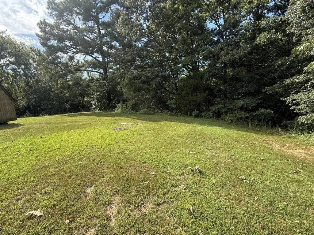 Picture 21