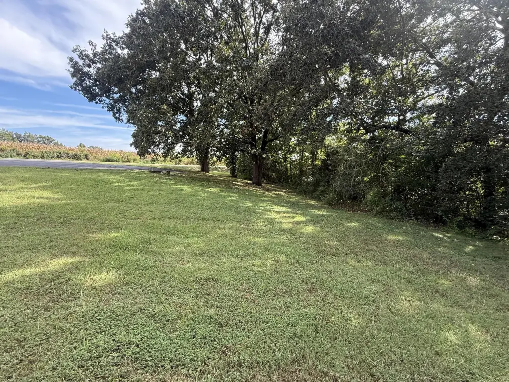 Picture 17