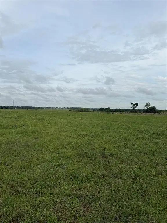 Picture 3