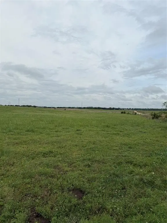 Picture 4