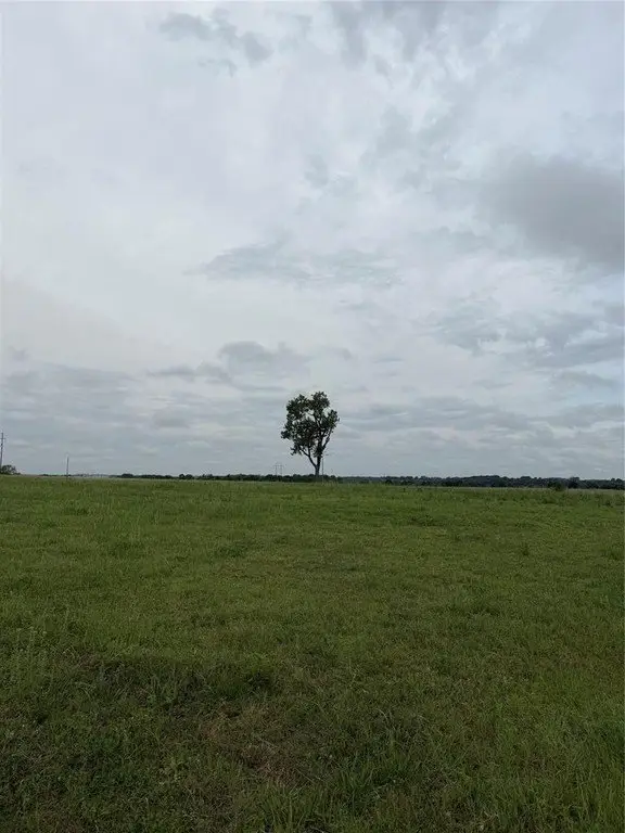 Picture 2