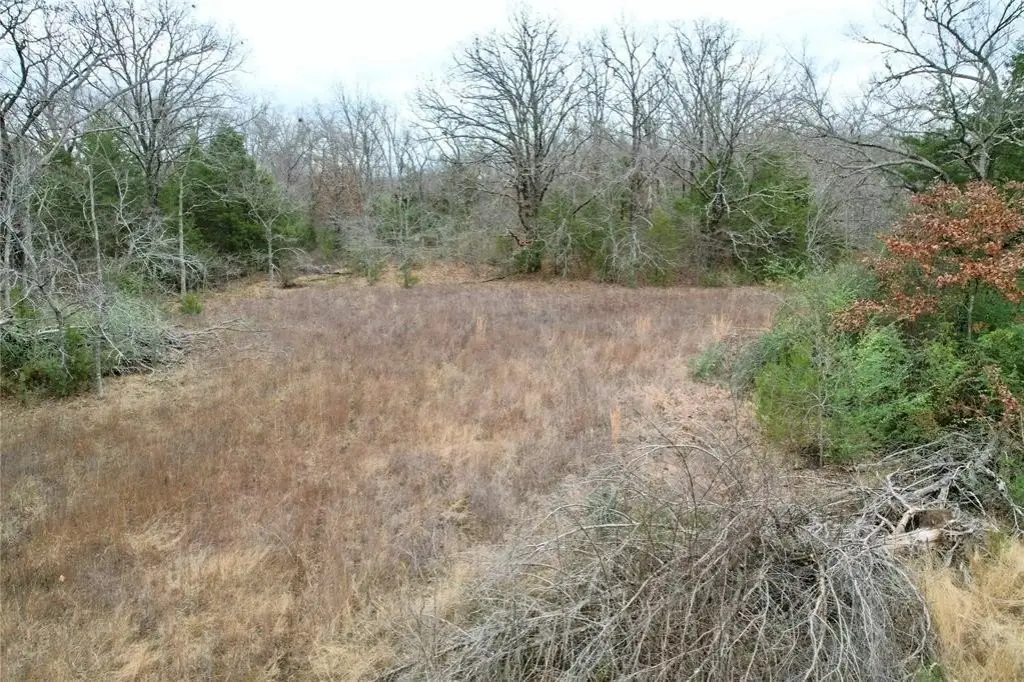 Picture 4