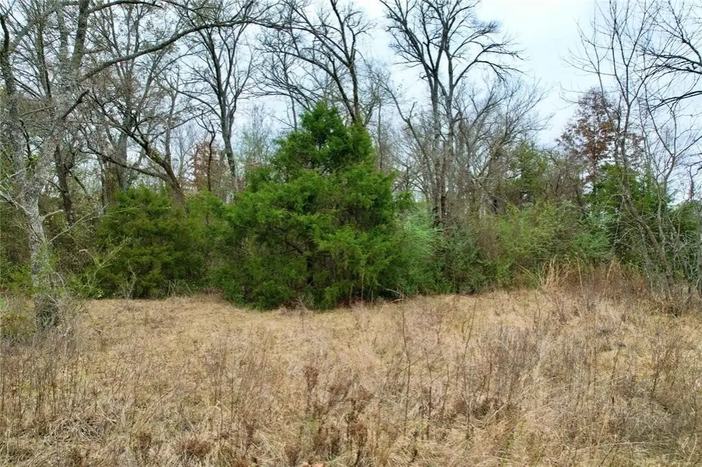 Picture 16