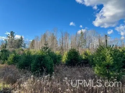 Amberg Wooded Land For Sale