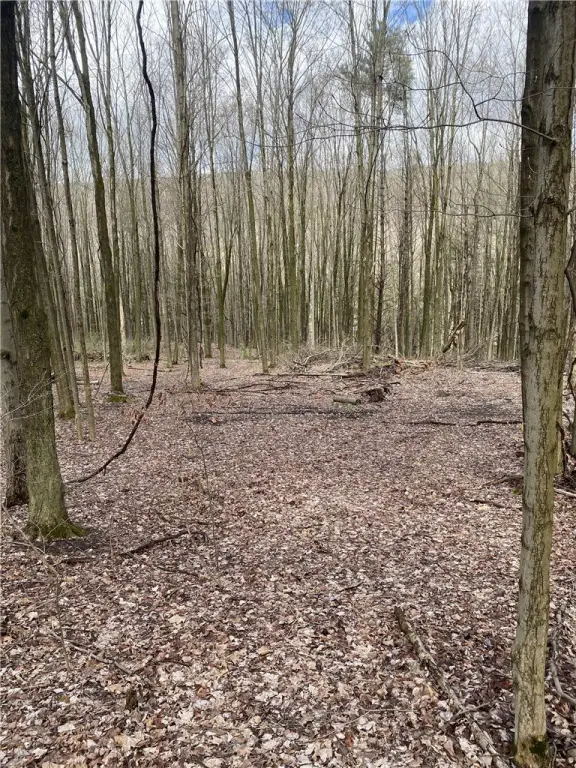 Picture 7
