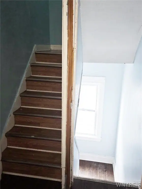 Picture 16