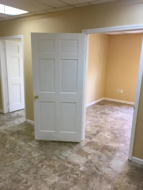 Picture 5