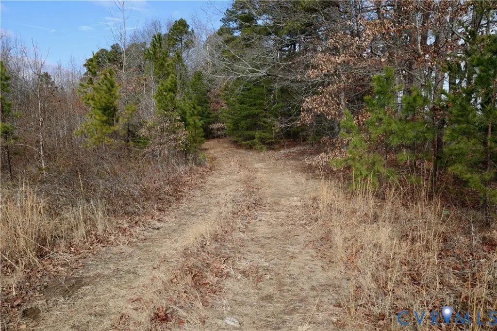 Picture 7