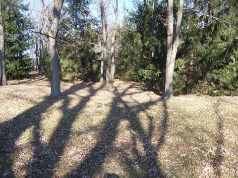 Maple Park Land on Route 47