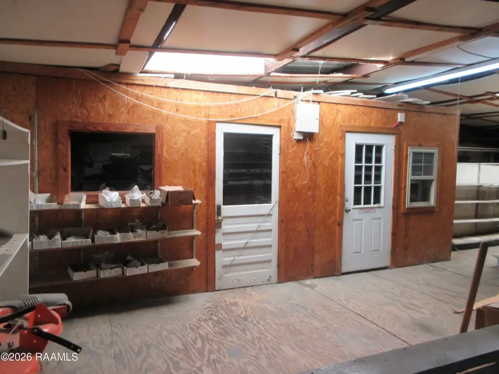 Picture 5