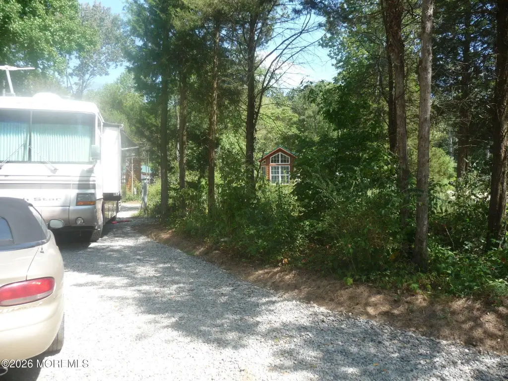 Picture 4